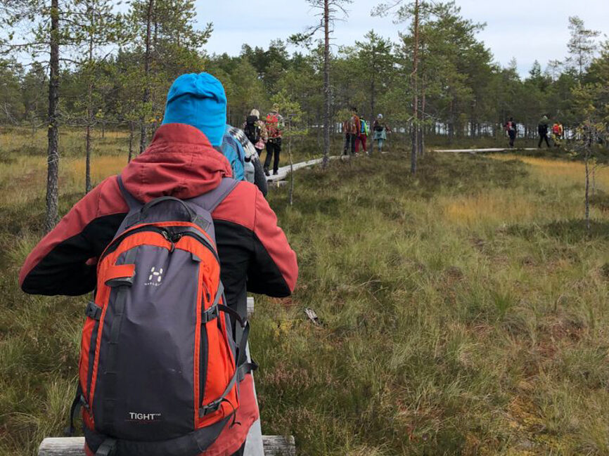 opiskelijat patikoimassa päivärinkat selässä Torronsuon pitkospuilla