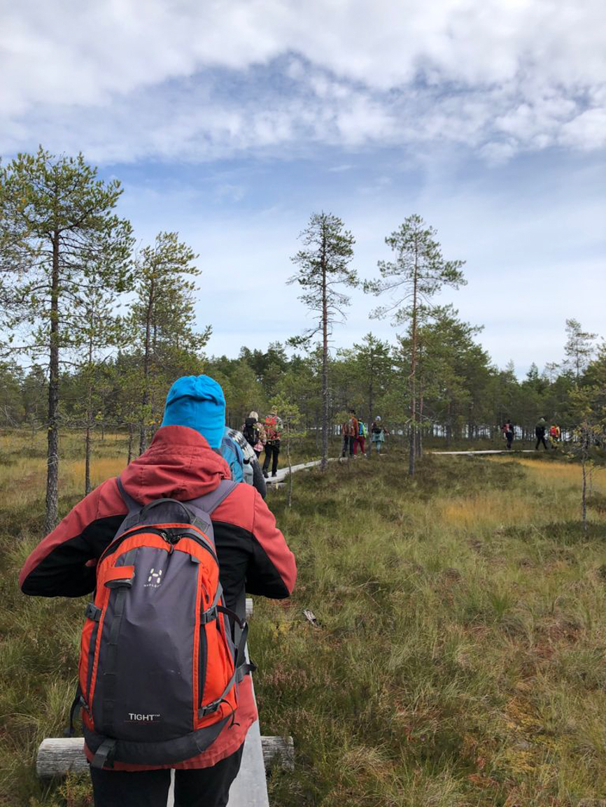 Luonto-opasopiskelijat Torronsuolla patikoimassa